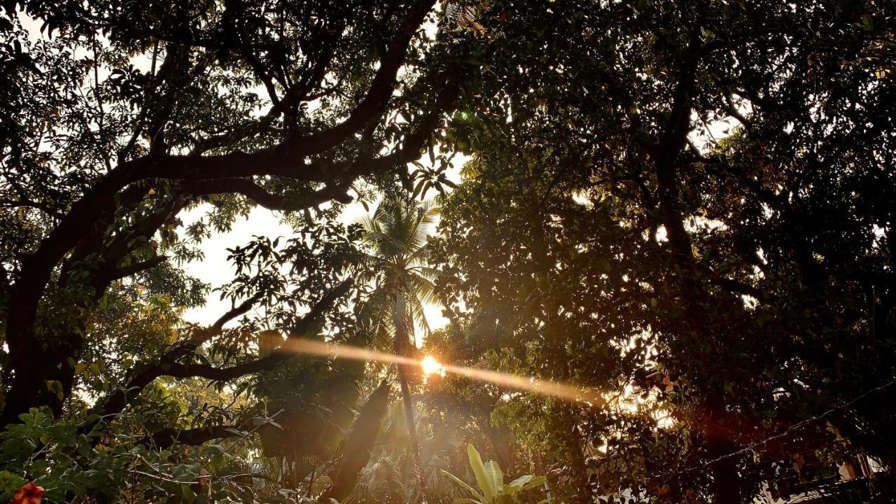 Stan-Inn, North Goa, Vagator, With Strong Wifi,Free Private Parking & Kitchen, Can Cook Where You Stay Exterior foto