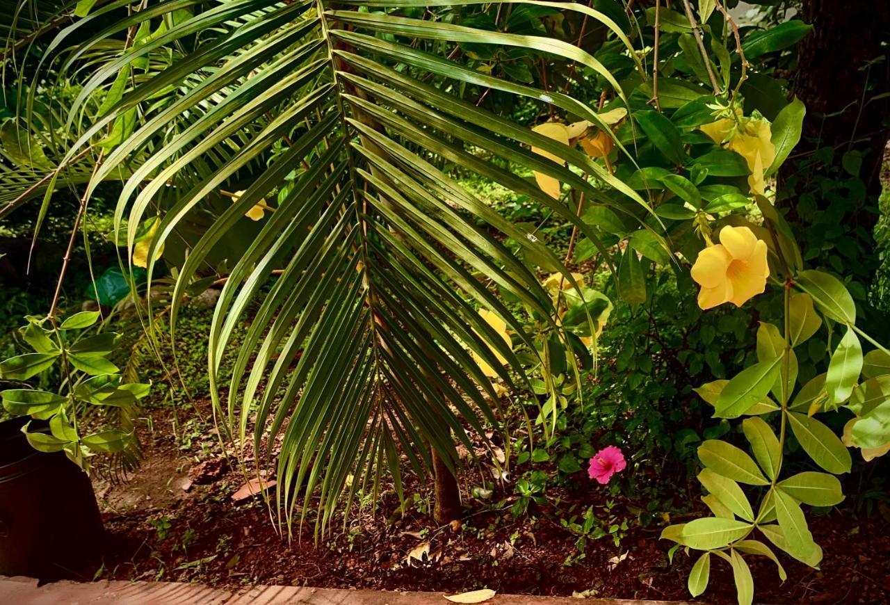 Stan-Inn, North Goa, Vagator, With Strong Wifi,Free Private Parking & Kitchen, Can Cook Where You Stay Exterior foto